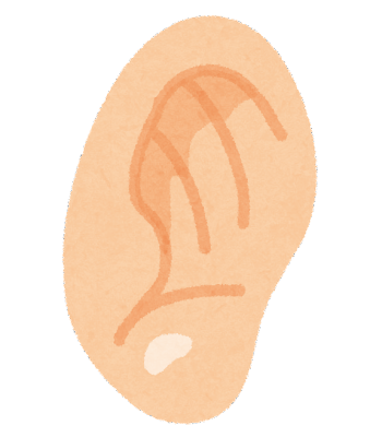 耳のイメージ画像