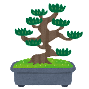 松の盆栽のイメージ画像