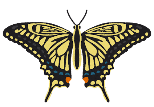 アゲハ蝶のイメージ画像
