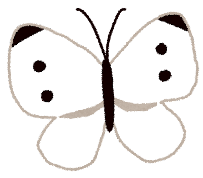白い蝶々のイメージ画像
